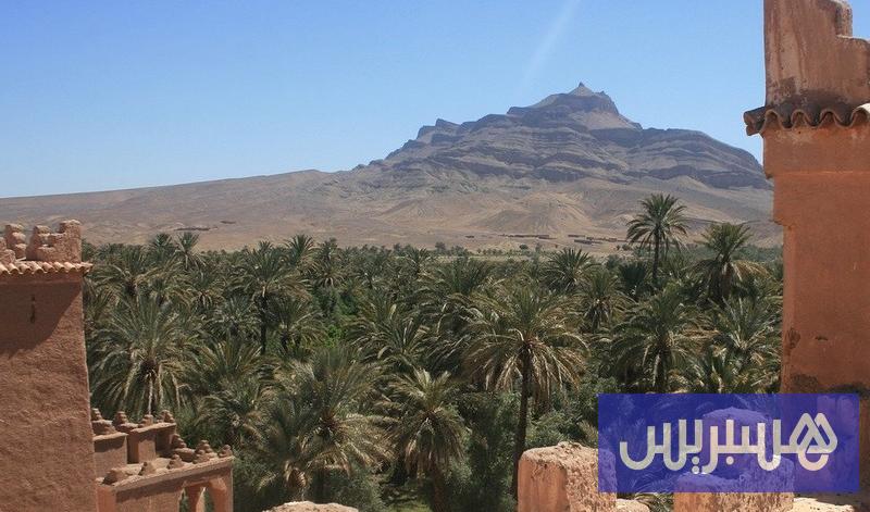 صورة الخبر