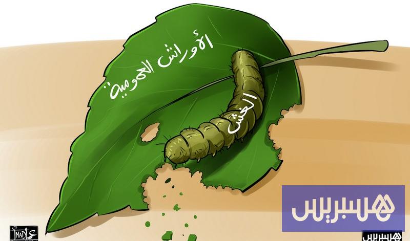 الجماعات الترابية 15 لجان تفتيش مركزية تدقق في طلبيات عمومية بقيمة 620 مليون درهم