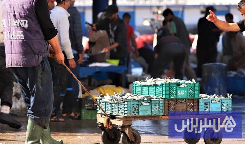 كمية الصيد المتوسطي تتقلص بالمغرب