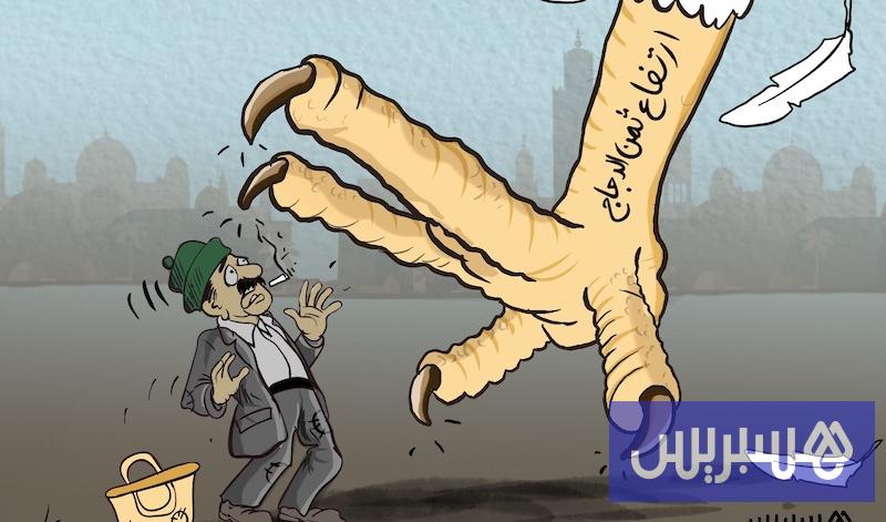 أسعار الدجاج 18 تراجع الإنتاج يلهب أسعار الدجاج بالمغرب.. وتحذيرات من المضاربة والاحتكار