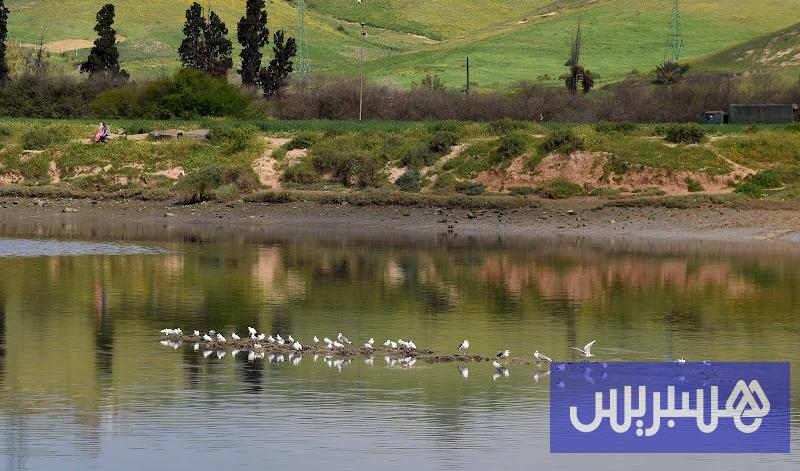 البيئة 12 lac