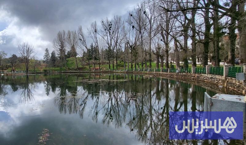 صورة الخبر
