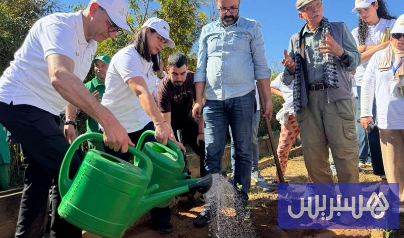 حملة تشجير تنظم في غابة المعمورة
