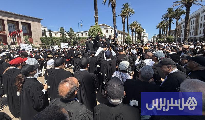 محامون يخرقون الإضراب لإعداد الطعون الانتخابية لفائدة مرشحين محامون يخرقون الإضراب لإعداد الطعون الانتخابية لفائدة مرشحين