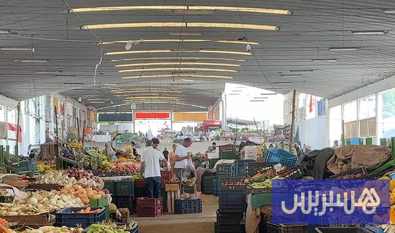 يعقوب المنصور 14 يعقوب المنصور بلا فوضى