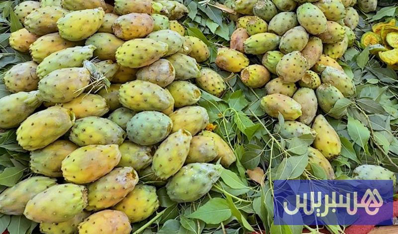 أسعار أسعار