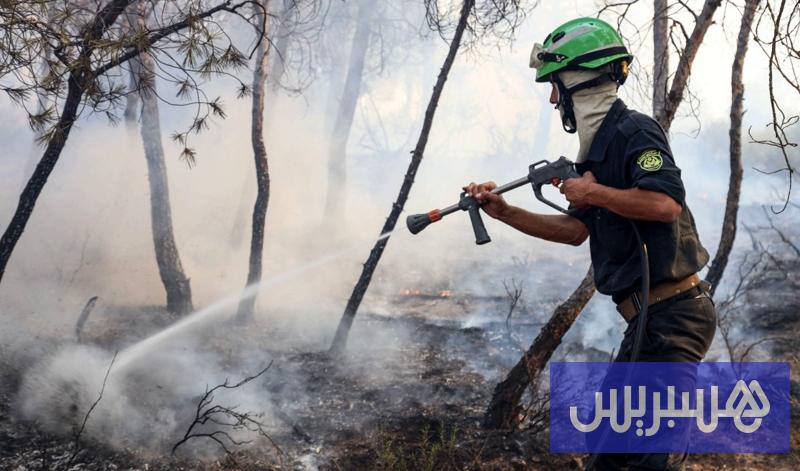 حرائق الغابات 15 algerie incendie