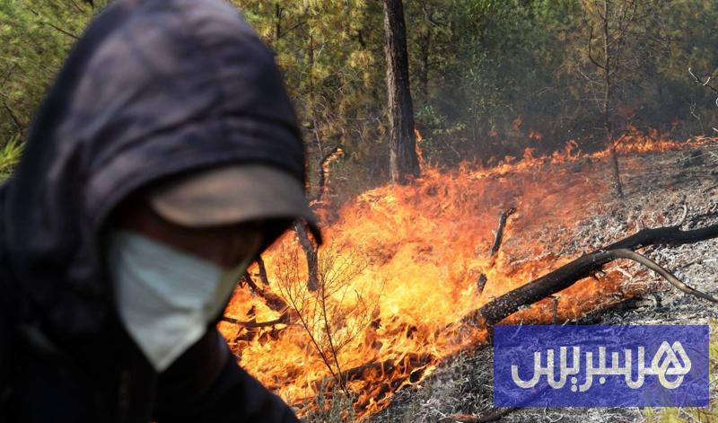 حرائق الغابات 16 حصيلة قتلى الحرائق ترتفع بالجزائر