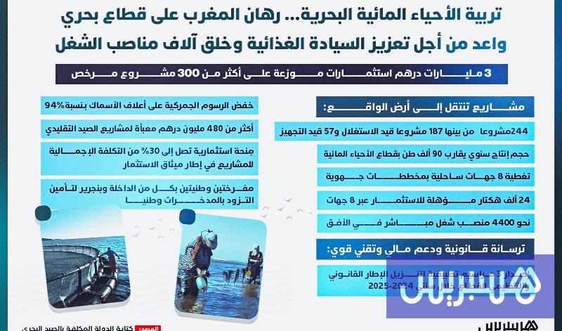 تربية الأحياء المائية البحرية.. رهان المغرب على قطاع بحري واعد تربية الأحياء المائية البحرية.. رهان المغرب على قطاع بحري واعد