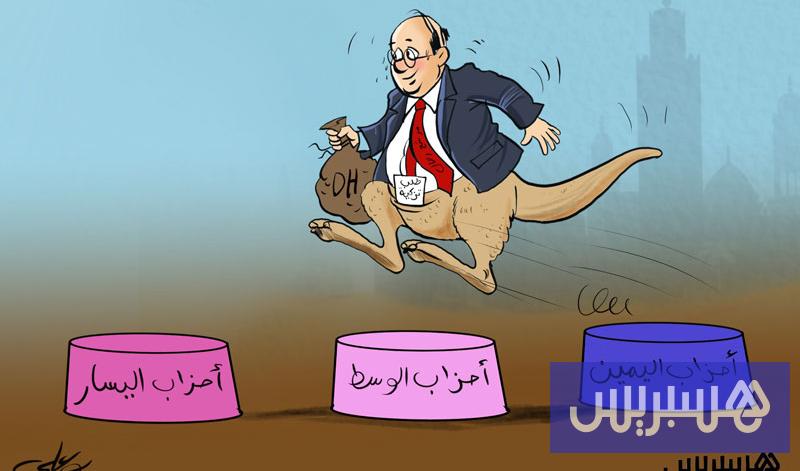 الكنغر الانتخابي الكنغر الانتخابي
