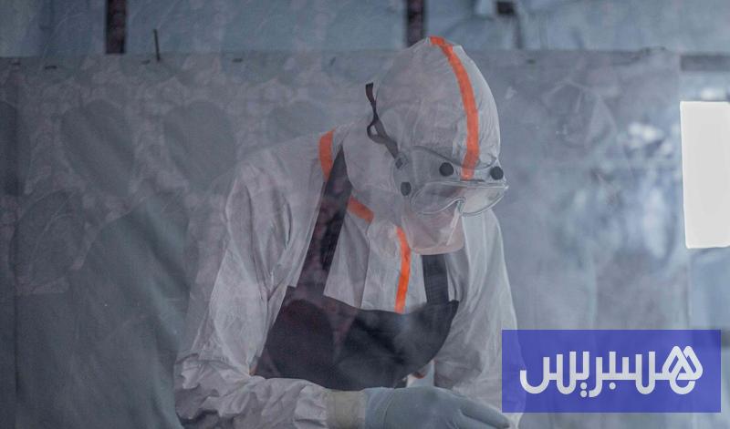 هولندا 16 فيروس غرب النيل يقتل في هولندا