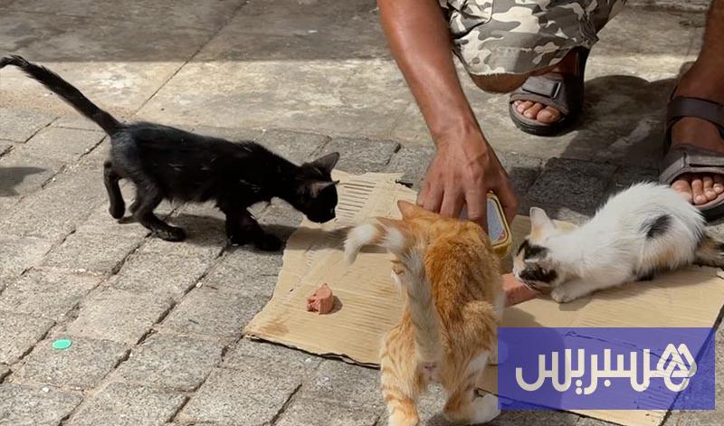 آراء في منع إطعام الحيوان آراء في منع إطعام الحيوان