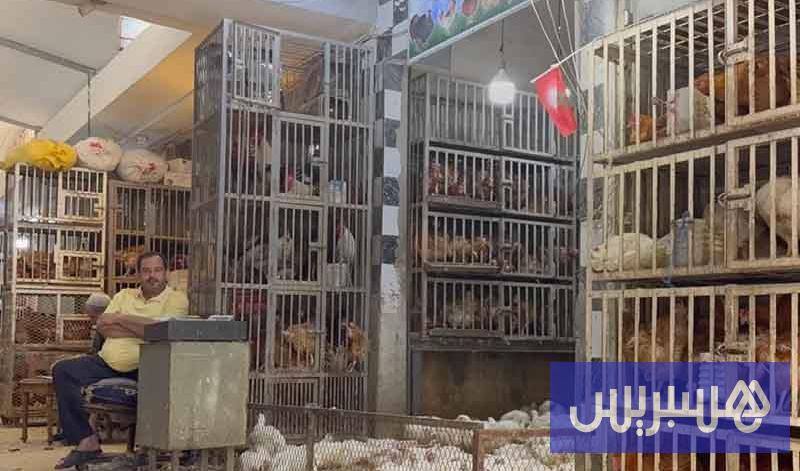 غلاء الأسعار 18 سعر الدجاج بـ 22 درهما
