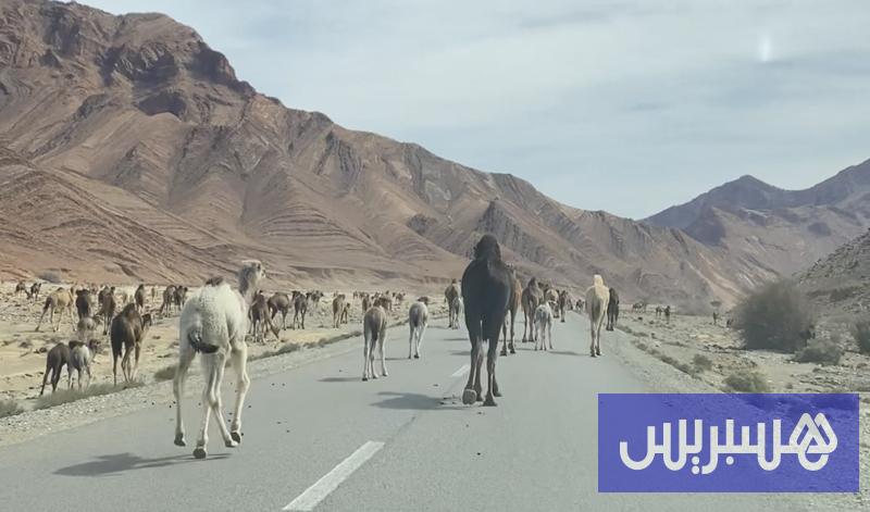 مصدر يوضح حقيقة 