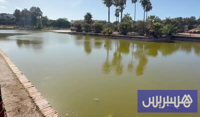 مشاكل بيئية في عين السبع مشاكل بيئية في عين السبع