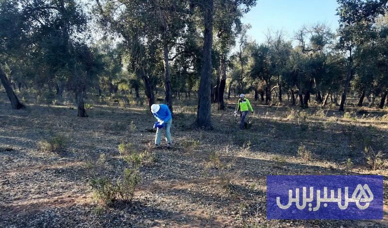 دراسة ترصد تراجع تغذية فرشة المعمورة .. الجفاف يشتد إلى نهاية القرن