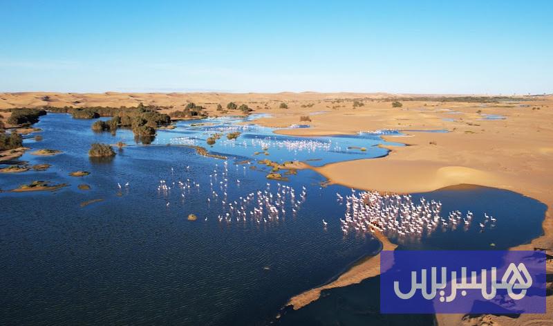 الأرصاد الجوية 16 توقعات طقس اليوم الاثنين بالمغرب