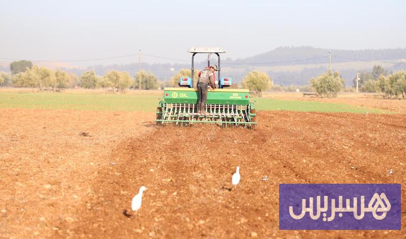 صورة الخبر