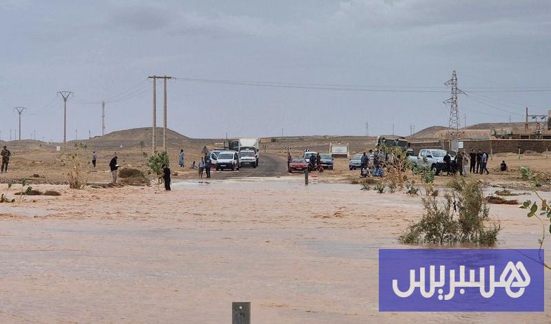 صورة الخبر