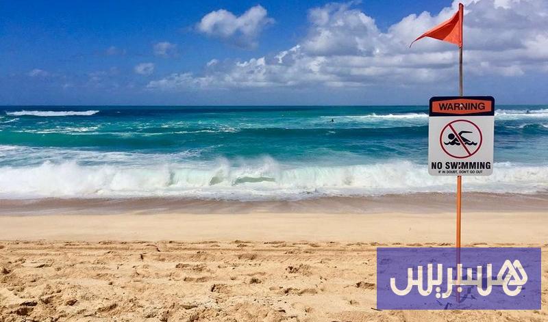 استمرار إغلاق شاطئ بجنوب إفريقيا بعد رصد سمكة قرش استمرار إغلاق شاطئ بجنوب إفريقيا بعد رصد سمكة قرش