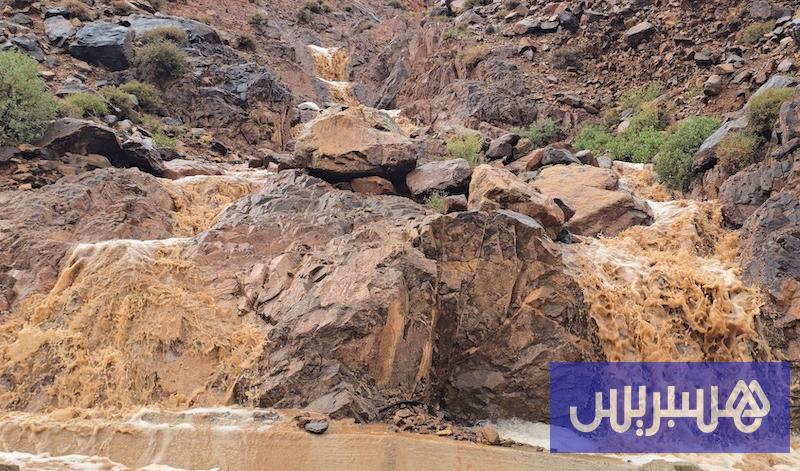 صورة الخبر