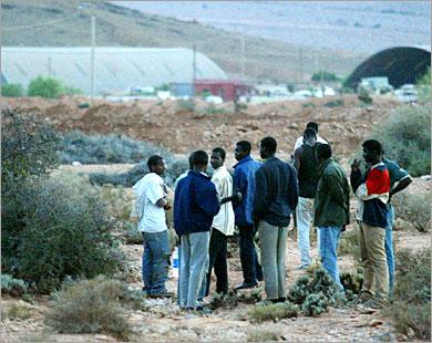 مهاجرون أفارقة يندمجون في الحياة المغربية على طريقتهم