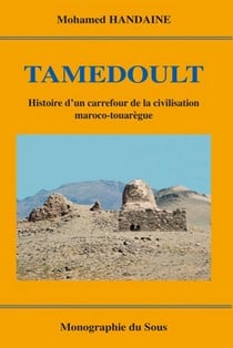 تامدولت...قصة مدينة