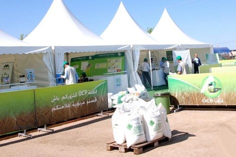 الـOCP يستحوذ على حصة "بانج" الأميركية