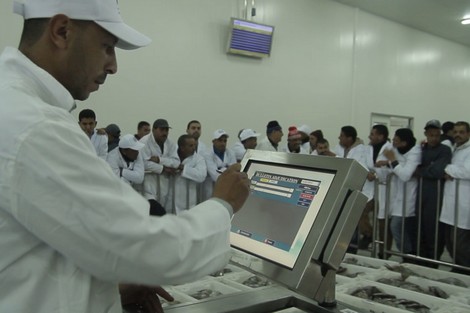 سوق السمك بميناء طانطان يطرق باب التكنولوجيات الحديثة