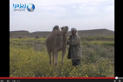 الربيع بالجنوب الشرقي