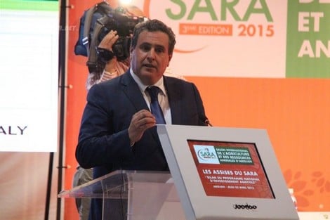 المغرب يُصَدر فلاحته لإفريقيا ومُنتجاته تبحث عن أسواق سمراء