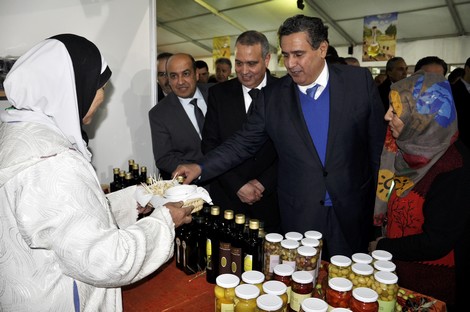 أخنوش من وزّان: إنتاج الزيتون ارتفع بـ24% العام الجاري