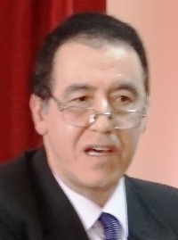 الملك المؤرخ