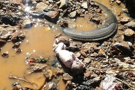 العثور على جثة رضيع حديث الولادة بأزيلال