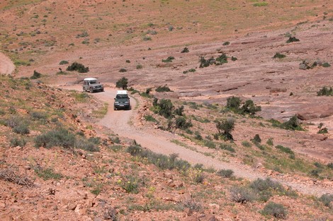 الريش .. القرية الإيكولوجية البويرات رافعة للتنمية