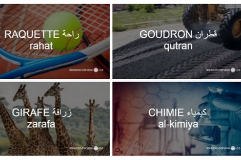 صحافي كندي ينسب أصل كلمات فرنسية إلى لغة العرب