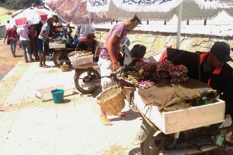 استهلاك المحّار ينعش إقبال المصطافين على شاطئ مدينة الوليدية