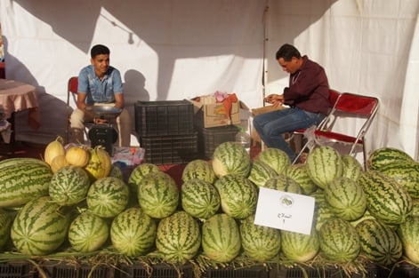 "دلاح رسموكة".. منتوج بيولوجي يتربع على عرش الفواكه في سوس