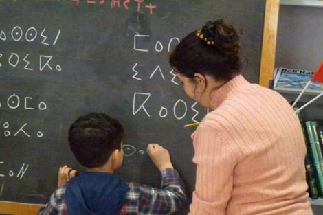 نشطاء يلجؤون إلى الأمم المتحدة لإقرار اللغة الأمازيغية بالمغرب