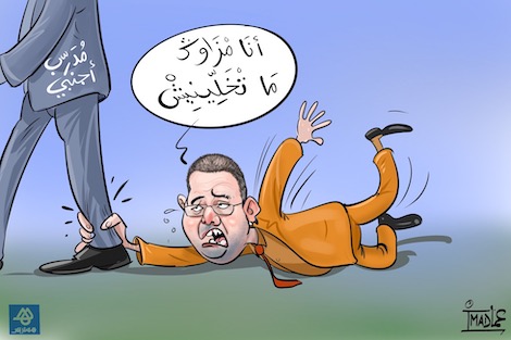 لويس فيرنانديز ينافس "خليلهودزيتش" على تدريب منتخب "الأسود"
