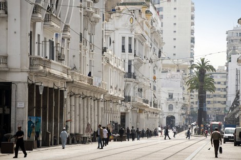 الدار البيضاء .. كُبرى الجهات تنتج الثروة بتنوع بيولوجي ضعيف