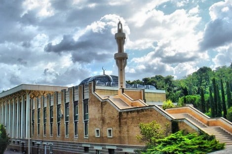 حصحاص يضع إشكالات "الإسلام في أوروبا" تحت مجهر التحليل