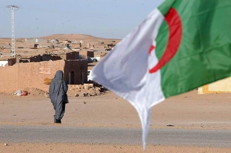 الواسيني: النظام الجزائري المستفيد الوحيد من استمرار نزاع الصحراء‎
