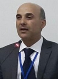 "النموذج التنموي الممنوح"