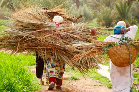 الإقصاء يرمي بالنساء والقرى إلى هامش مسلسل التنمية في المغرب