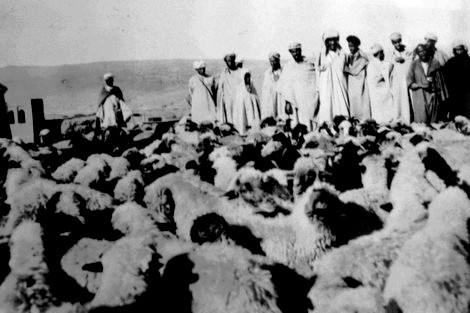 ذكرى معركة بوڭافر .. عندما واجه المغاربة أبناء جلدتهم في صاغرو