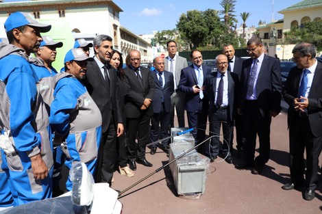 الدار البيضاء تضع خطة مواجهة الجرذان والبعوض