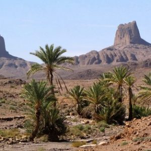 أسطورة "إد باب ن علي" .. عندما يُمسَخ الإنسان إلى طبيعة ساحرة