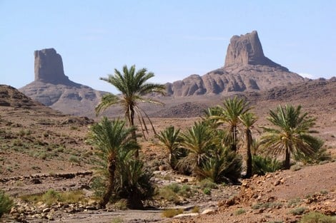 أسطورة "إد باب ن علي" .. عندما يُمسَخ الإنسان إلى طبيعة ساحرة