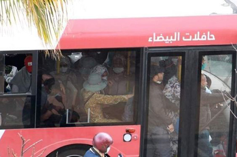 "ألزا البيضاء" تتعثر في استعمال الحافلات الجديدة